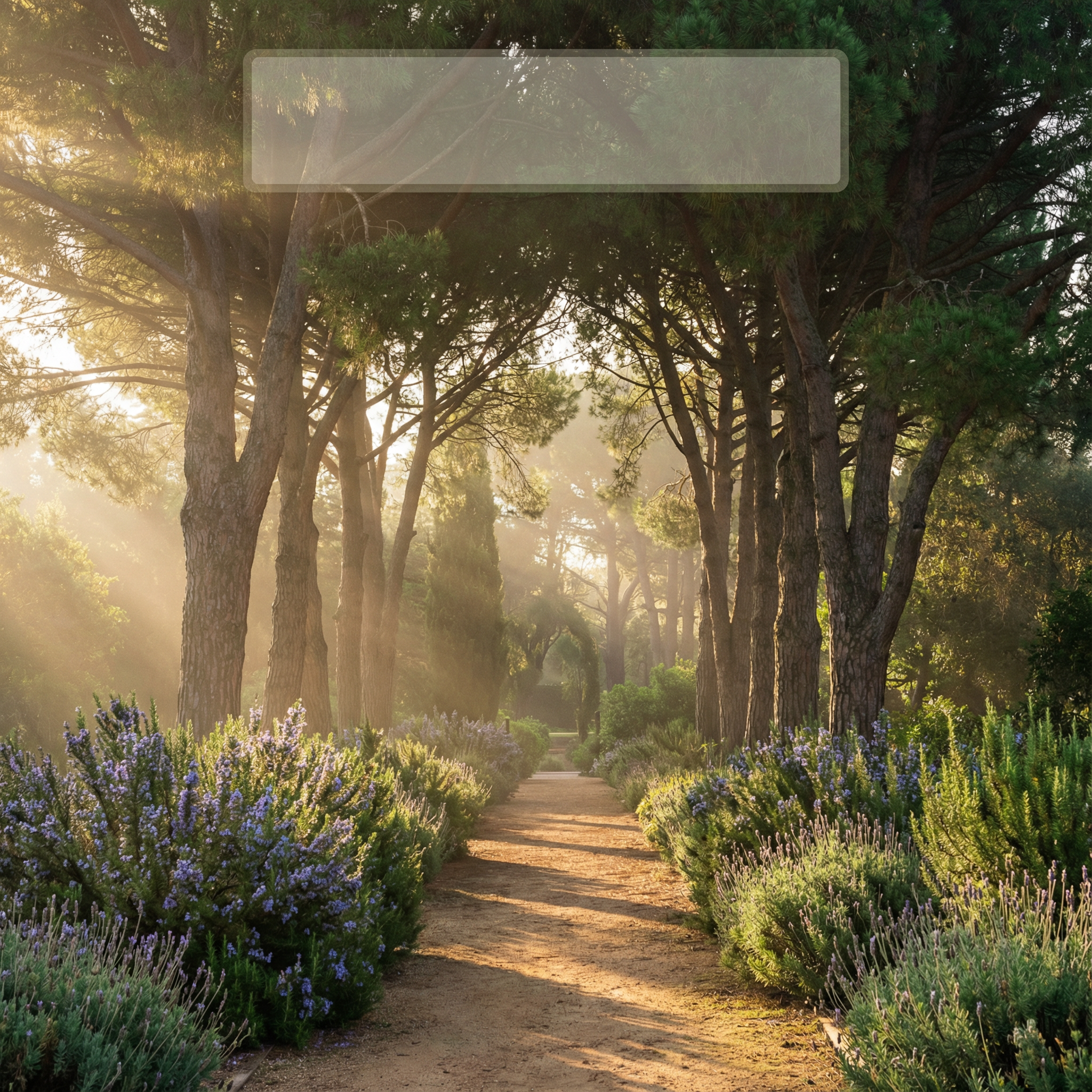 Welcome to Eden Labyrinth Garden